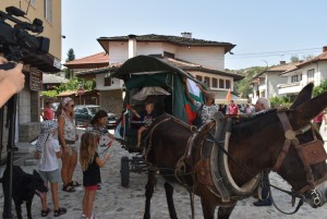 p 10.JPG