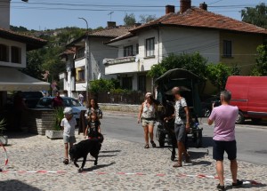 p 1.JPG
